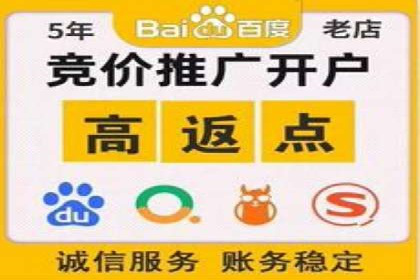 行业趋势下的SEM竞价代运营策略及成功实例