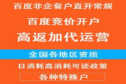 成功SEM代理案例：精准投放的策略